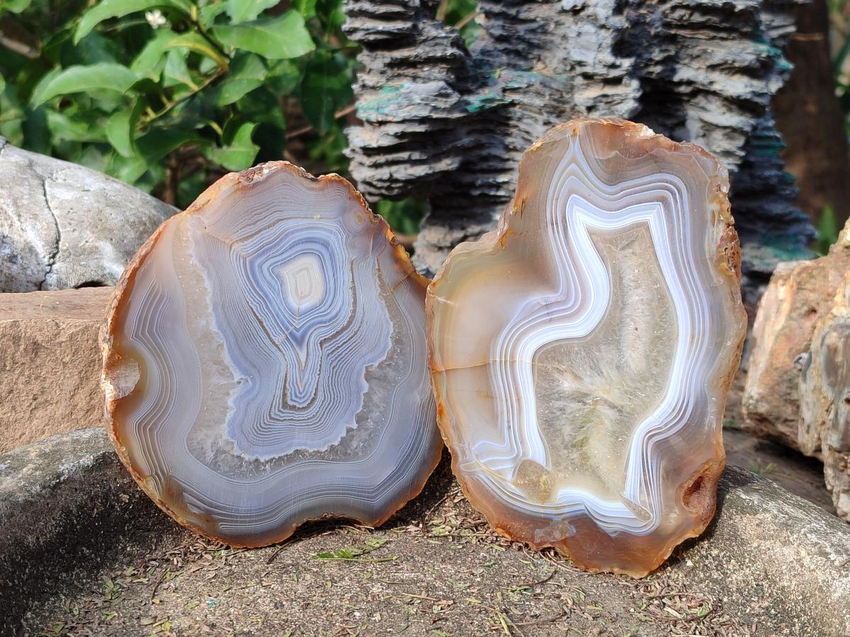Polished Large Banded Agate Slices with Natural Edging x 6 From Madagascar - Toprock Gemstones and Minerals 