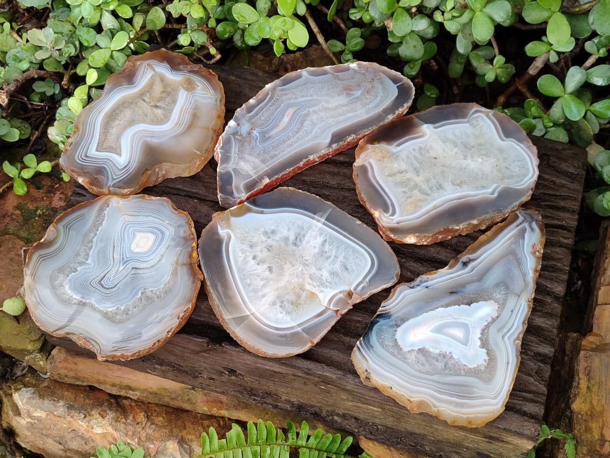 Polished Large Banded Agate Slices with Natural Edging x 6 From Madagascar - Toprock Gemstones and Minerals 