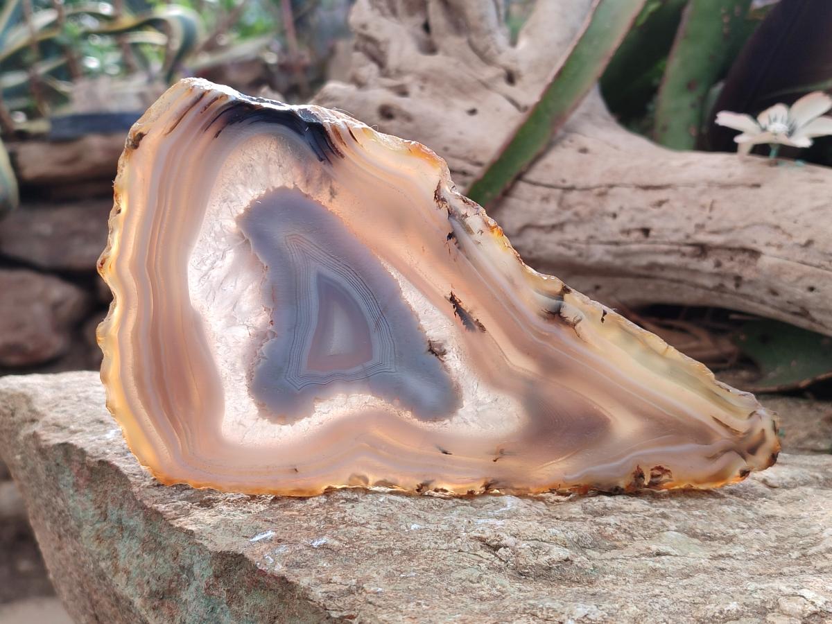 Polished Large Banded Agate Slices with Natural Edging x 6 From Madagascar - Toprock Gemstones and Minerals 