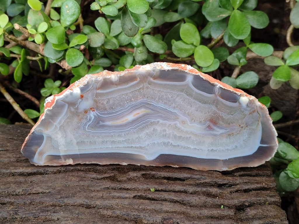 Polished Large Banded Agate Slices with Natural Edging x 6 From Madagascar - Toprock Gemstones and Minerals 