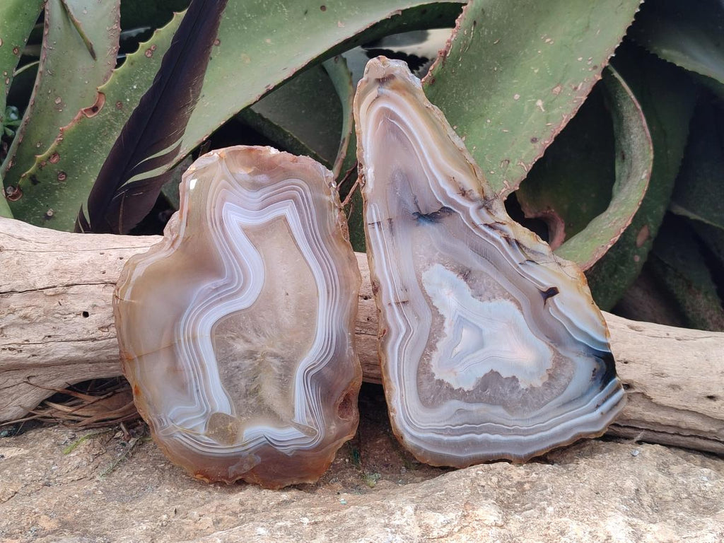 Polished Large Banded Agate Slices with Natural Edging x 6 From Madagascar - Toprock Gemstones and Minerals 