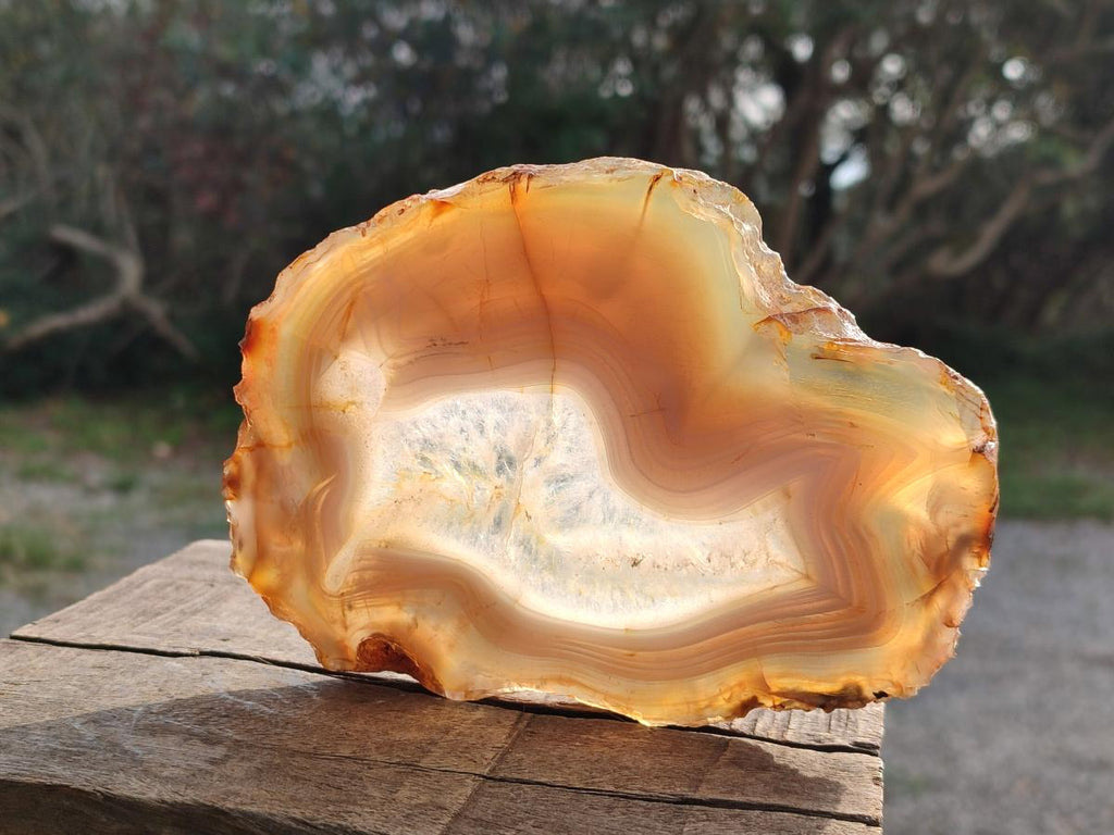 Polished Large Banded Agate Slices with Natural Edging x 6 From Madagascar - Toprock Gemstones and Minerals 
