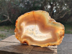 Polished Large Banded Agate Slices with Natural Edging x 6 From Madagascar - Toprock Gemstones and Minerals 