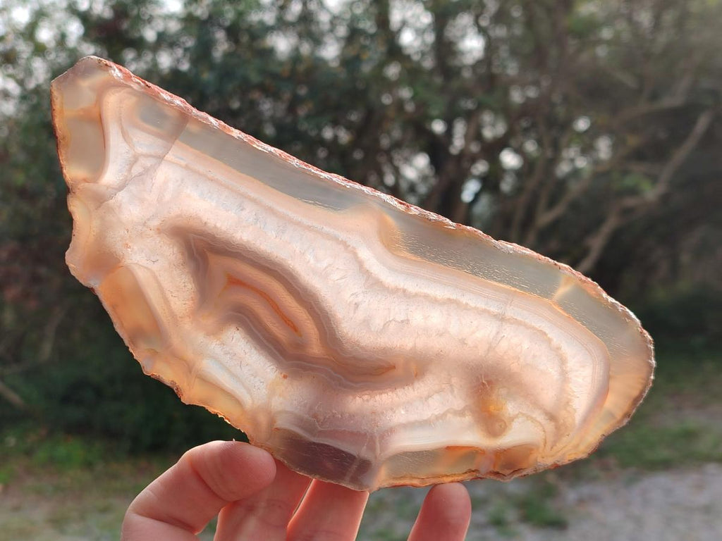 Polished Large Banded Agate Slices with Natural Edging x 6 From Madagascar - Toprock Gemstones and Minerals 