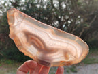 Polished Large Banded Agate Slices with Natural Edging x 6 From Madagascar - Toprock Gemstones and Minerals 