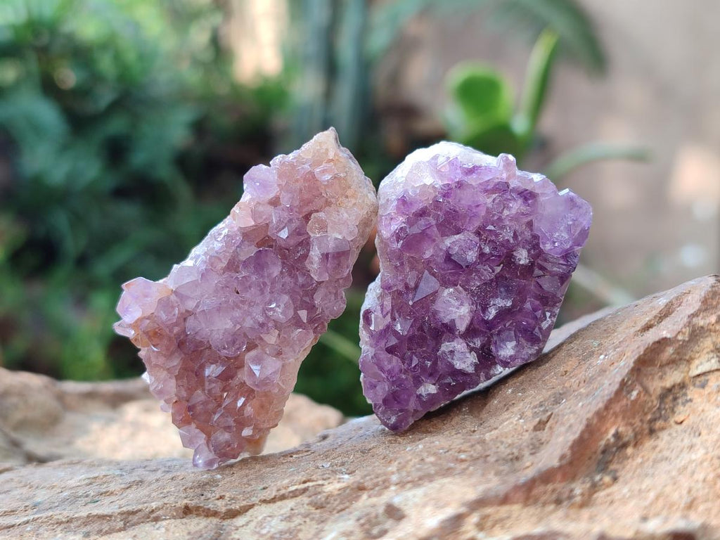 Natural Mini Amethyst Clusters x 35 From Madagascar - Toprock Gemstones and Minerals 
