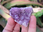 Natural Mini Amethyst Clusters x 35 From Madagascar - Toprock Gemstones and Minerals 