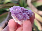 Natural Mini Amethyst Clusters x 35 From Madagascar - Toprock Gemstones and Minerals 