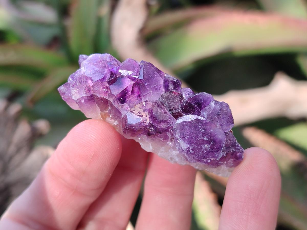 Natural Mini Amethyst Clusters x 35 From Madagascar - Toprock Gemstones and Minerals 
