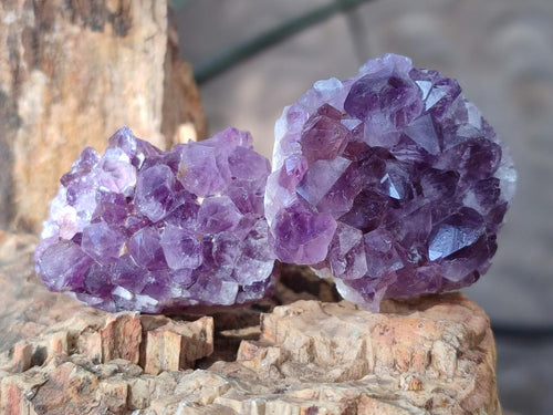 Natural Mini Amethyst Clusters x 35 From Madagascar - Toprock Gemstones and Minerals 
