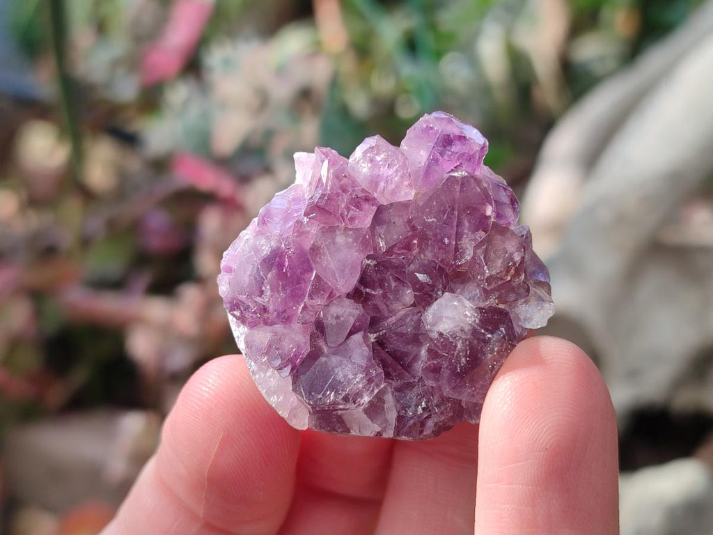 Natural Mini Amethyst Clusters x 35 From Madagascar - Toprock Gemstones and Minerals 