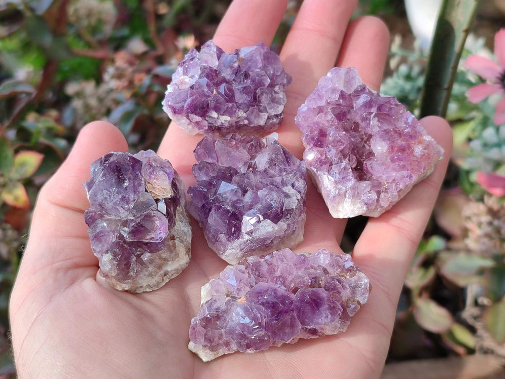 Natural Mini Amethyst Clusters x 35 From Madagascar - Toprock Gemstones and Minerals 