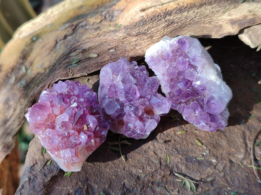 Natural Mini Amethyst Clusters x 35 From Madagascar - Toprock Gemstones and Minerals 