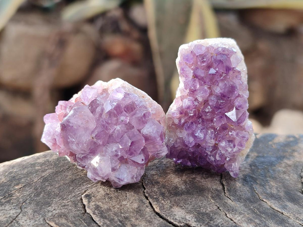 Natural Mini Amethyst Clusters x 35 From Madagascar - Toprock Gemstones and Minerals 