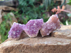 Natural Mini Amethyst Clusters x 35 From Madagascar - Toprock Gemstones and Minerals 