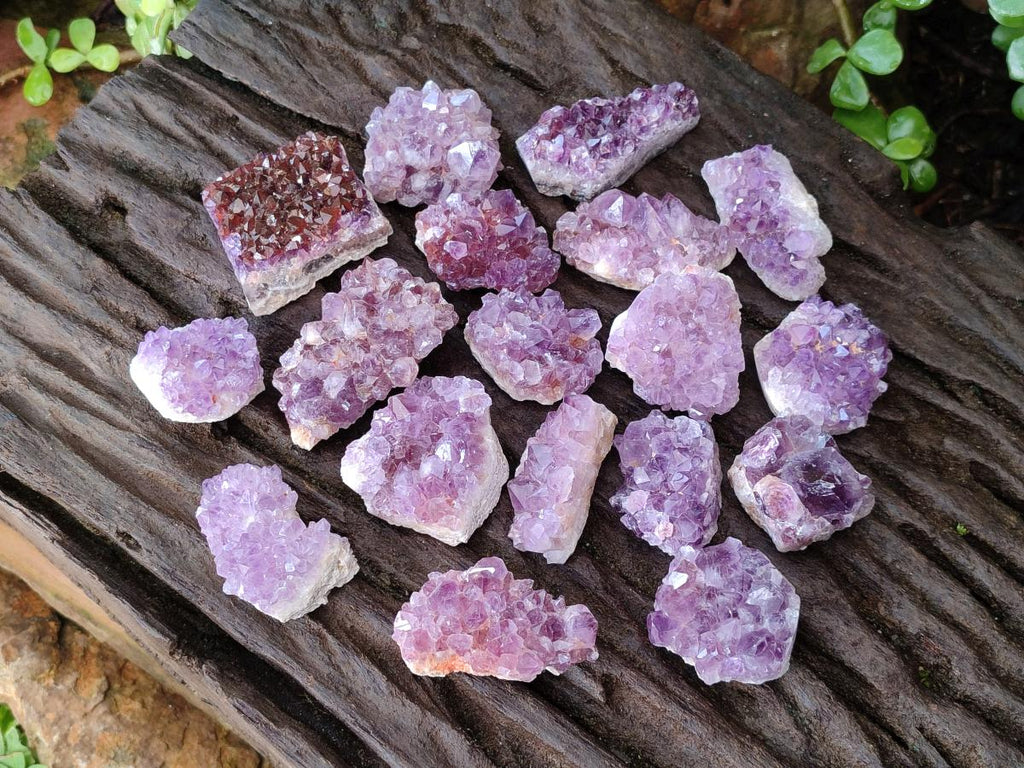 Natural Mini Amethyst Clusters x 35 From Madagascar - Toprock Gemstones and Minerals 