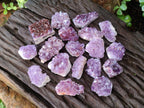 Natural Mini Amethyst Clusters x 35 From Madagascar - Toprock Gemstones and Minerals 