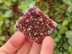 Natural Mini Amethyst Clusters x 35 From Madagascar - Toprock Gemstones and Minerals 