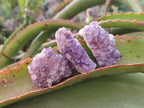 Natural Mini Amethyst Clusters x 35 From Madagascar - Toprock Gemstones and Minerals 