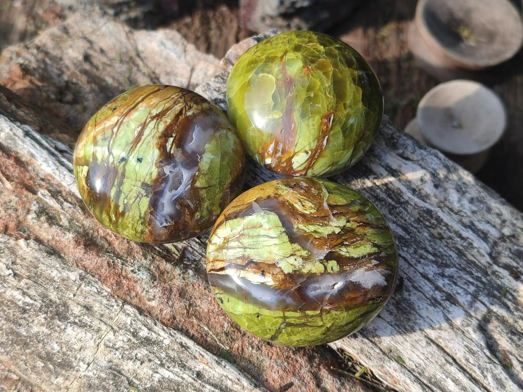 Polished Green Opal Palm Stones x 24 From Betroka, Madagascar - Toprock Gemstones and Minerals 
