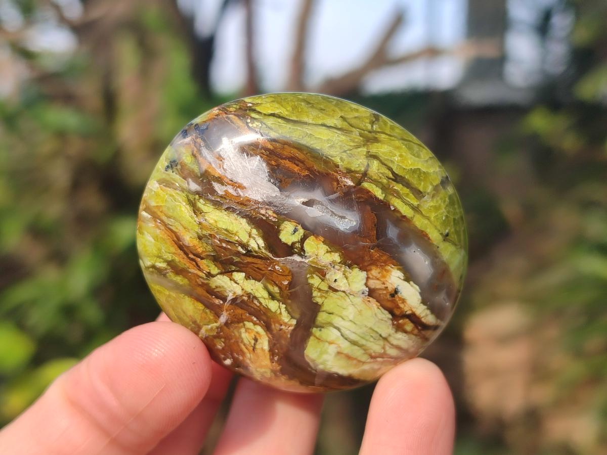 Polished Green Opal Palm Stones x 24 From Betroka, Madagascar - Toprock Gemstones and Minerals 