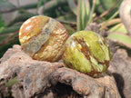 Polished Green Opal Palm Stones x 24 From Betroka, Madagascar - Toprock Gemstones and Minerals 