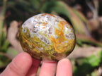 Polished Green Opal Palm Stones x 24 From Betroka, Madagascar - Toprock Gemstones and Minerals 