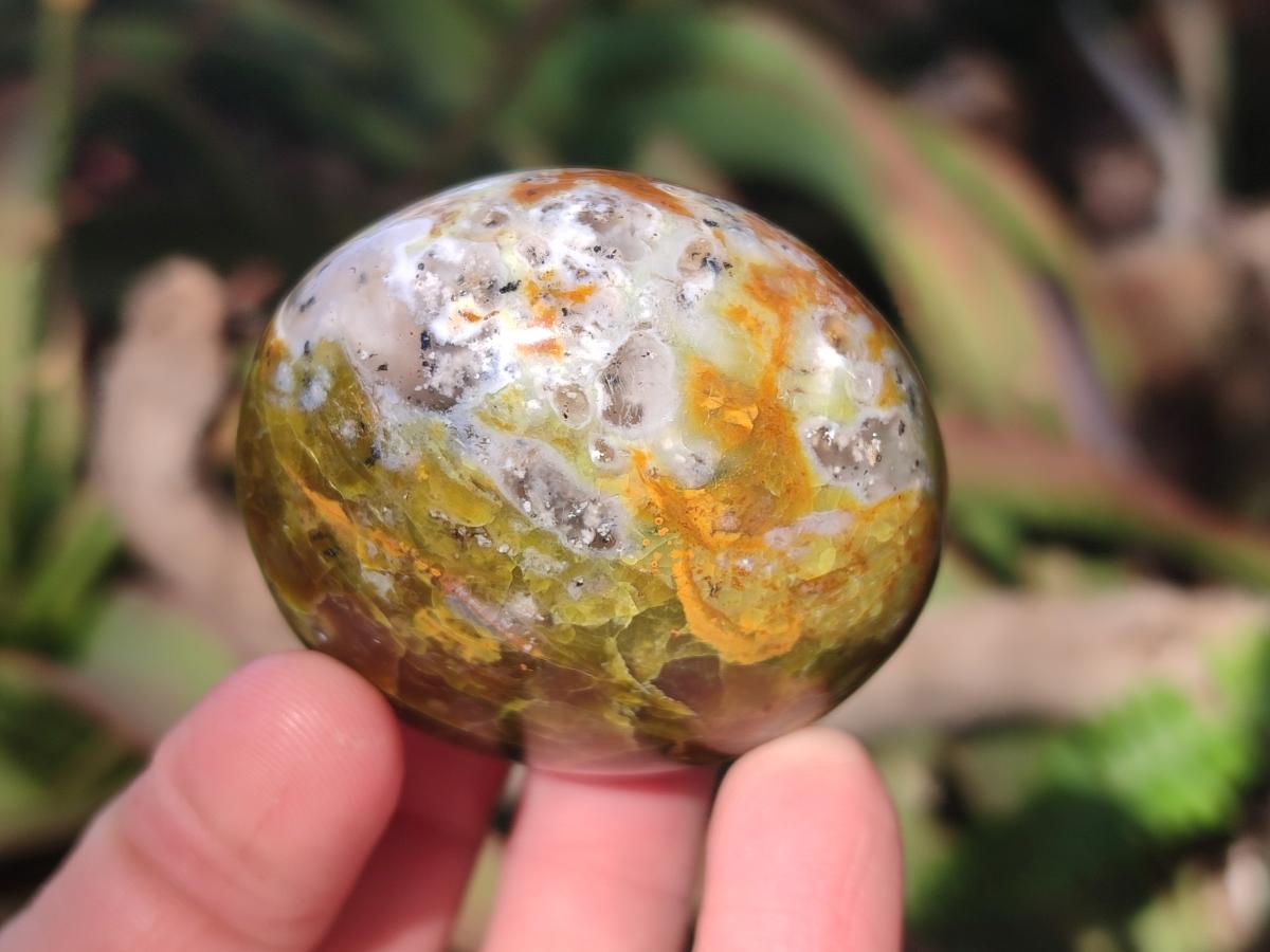 Polished Green Opal Palm Stones x 24 From Betroka, Madagascar - Toprock Gemstones and Minerals 