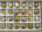 Polished Green Opal Palm Stones x 24 From Betroka, Madagascar - Toprock Gemstones and Minerals 