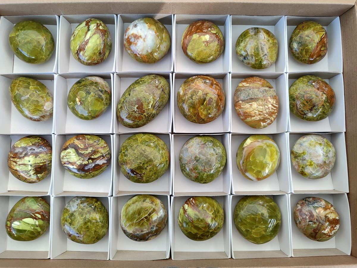 Polished Green Opal Palm Stones x 24 From Betroka, Madagascar - Toprock Gemstones and Minerals 