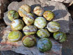 Polished Green Opal Palm Stones x 24 From Betroka, Madagascar - Toprock Gemstones and Minerals 