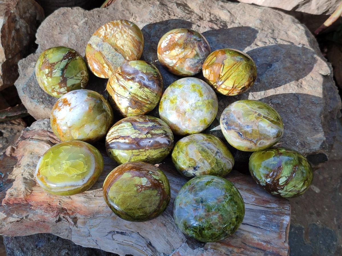 Polished Green Opal Palm Stones x 24 From Betroka, Madagascar - Toprock Gemstones and Minerals 