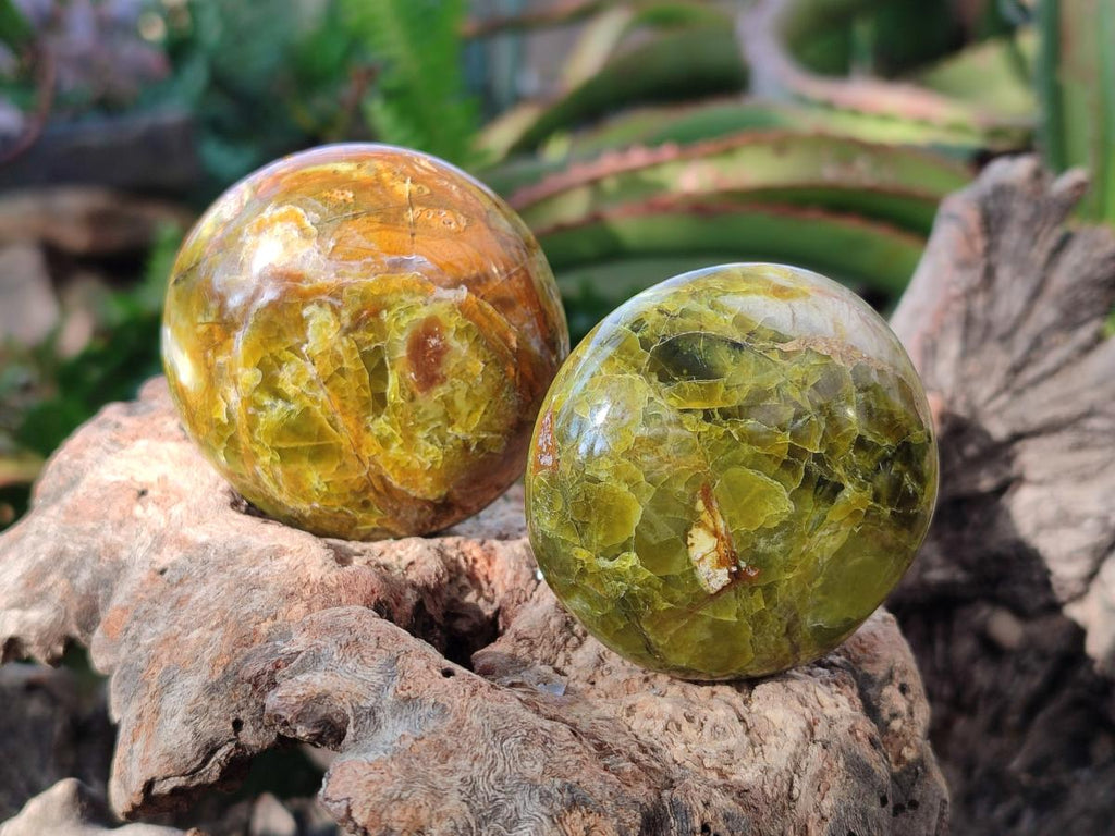 Polished Green Opal Palm Stones x 24 From Betroka, Madagascar - Toprock Gemstones and Minerals 