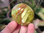 Polished Green Opal Palm Stones x 24 From Betroka, Madagascar - Toprock Gemstones and Minerals 