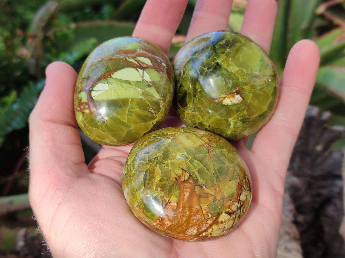 Polished Green Opal Palm Stones x 24 From Betroka, Madagascar - Toprock Gemstones and Minerals 