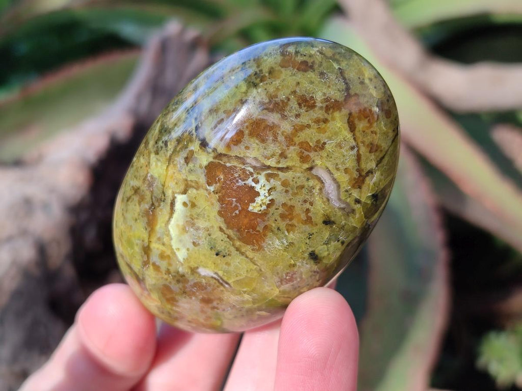 Polished Green Opal Palm Stones x 24 From Betroka, Madagascar - Toprock Gemstones and Minerals 