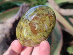 Polished Green Opal Palm Stones x 24 From Betroka, Madagascar - Toprock Gemstones and Minerals 