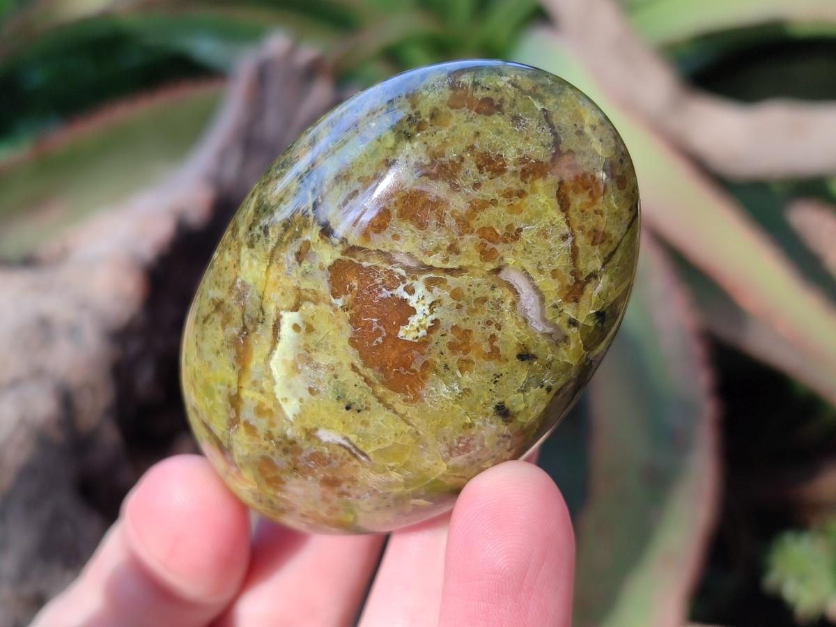 Polished Green Opal Palm Stones x 24 From Betroka, Madagascar - Toprock Gemstones and Minerals 