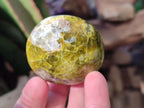 Polished Green Opal Palm Stones x 24 From Betroka, Madagascar - Toprock Gemstones and Minerals 