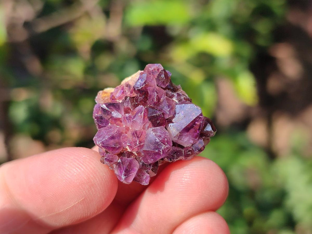 Natural Multi Mineral Specimens x 2.1 Kg Lot From Southern Africa - Toprock Gemstones and Minerals 