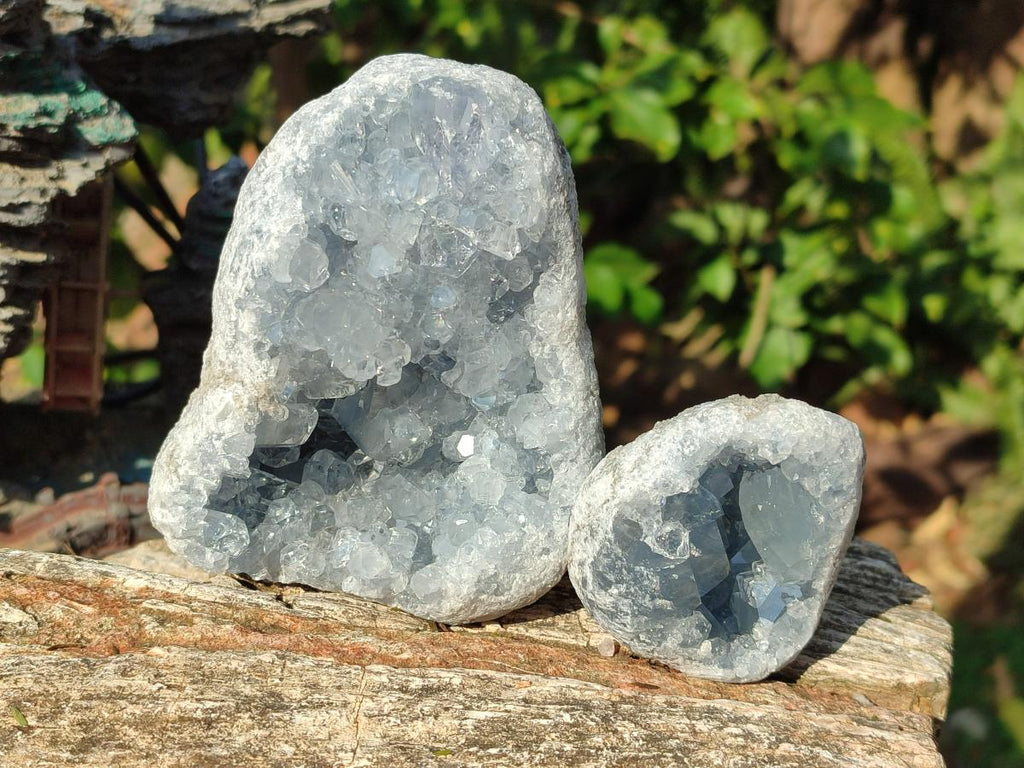 Natural Blue Celestite Geode Specimens x 6 From Sakoany, Madagascar - Toprock Gemstones and Minerals 