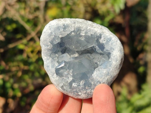 Natural Blue Celestite Geode Specimens x 6 From Sakoany, Madagascar - Toprock Gemstones and Minerals 