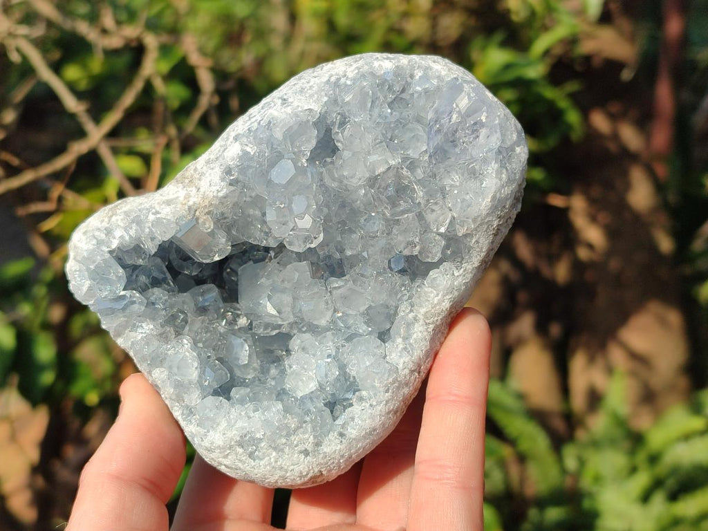 Natural Blue Celestite Geode Specimens x 6 From Sakoany, Madagascar - Toprock Gemstones and Minerals 