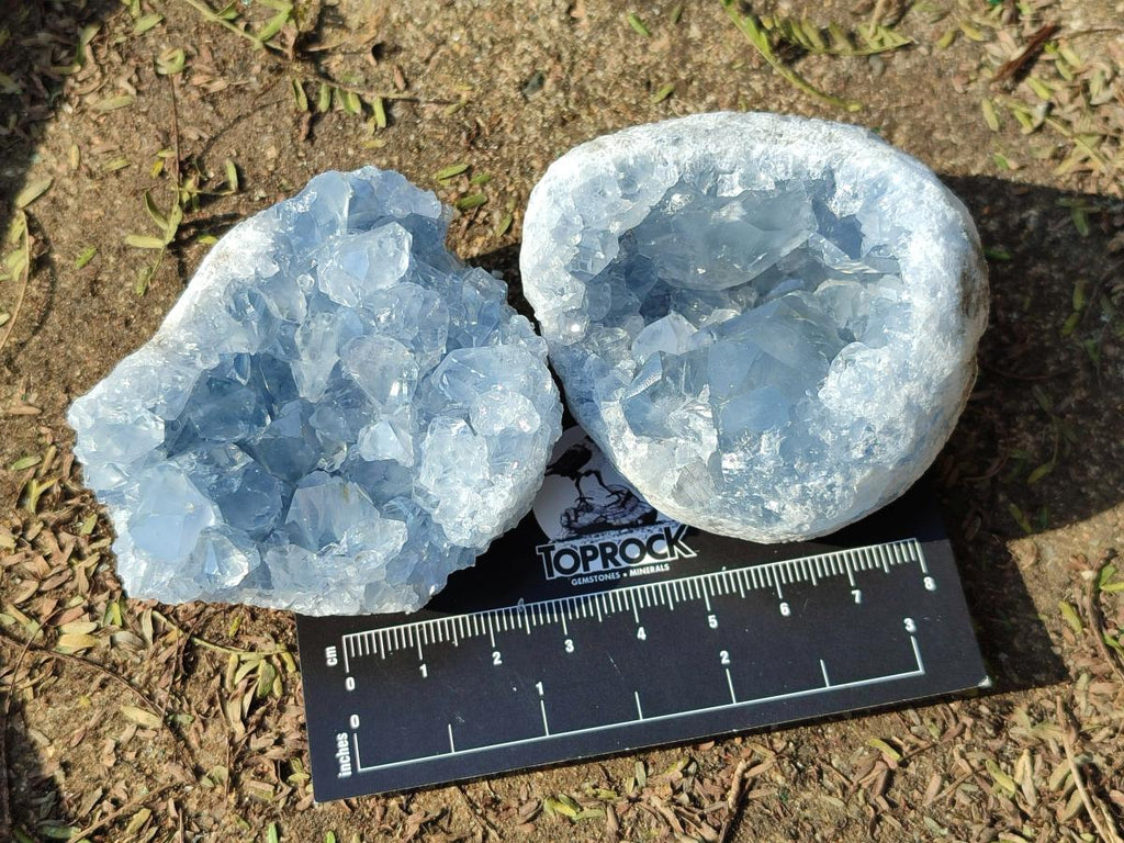 Natural Blue Celestite Geode Specimens x 6 From Sakoany, Madagascar - Toprock Gemstones and Minerals 