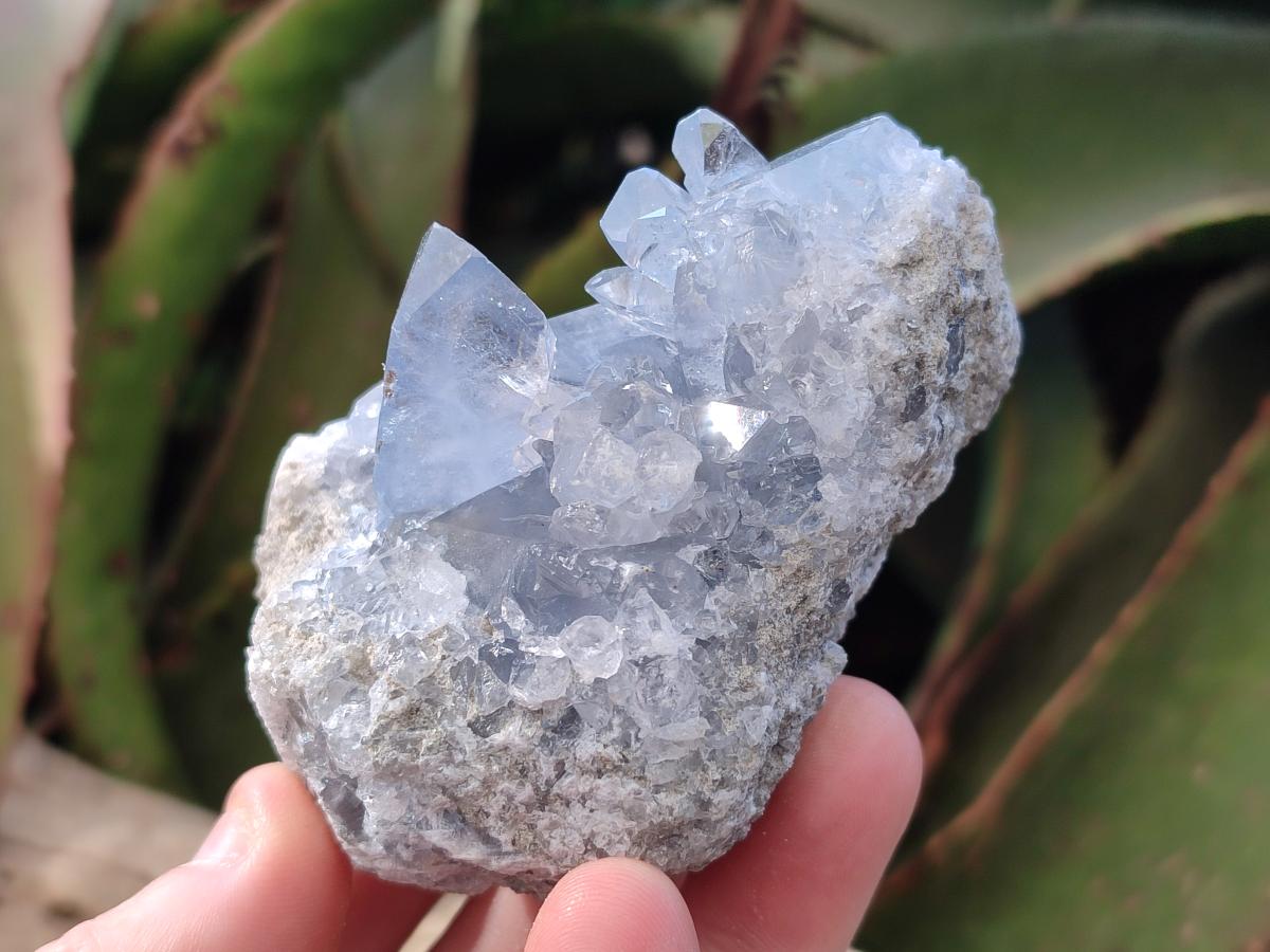 Natural Blue Celestite Geode Specimens x 6 From Sakoany, Madagascar - Toprock Gemstones and Minerals 