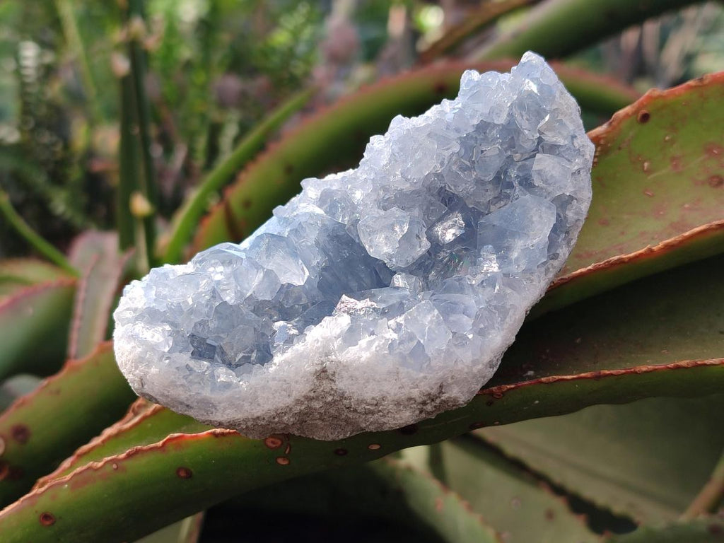 Natural Blue Celestite Geode Specimens x 6 From Sakoany, Madagascar - Toprock Gemstones and Minerals 