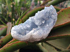 Natural Blue Celestite Geode Specimens x 6 From Sakoany, Madagascar - Toprock Gemstones and Minerals 