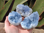 Natural Blue Celestite Geode Specimens x 6 From Sakoany, Madagascar - Toprock Gemstones and Minerals 