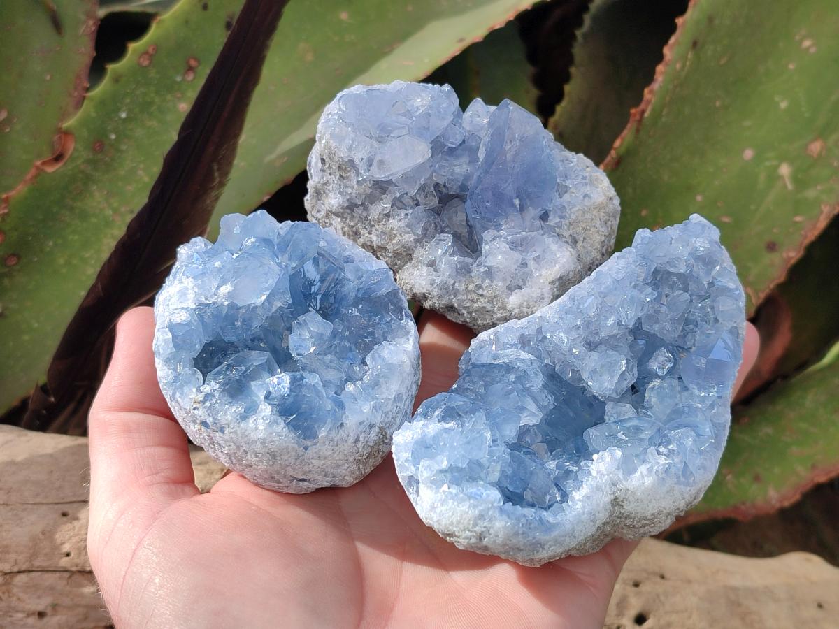Natural Blue Celestite Geode Specimens x 6 From Sakoany, Madagascar - Toprock Gemstones and Minerals 