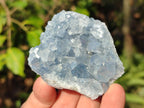 Natural Blue Celestite Geode Specimens x 6 From Sakoany, Madagascar - Toprock Gemstones and Minerals 
